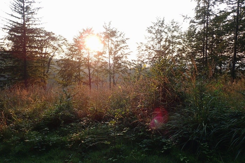 54-P8160249 -- Spokojny schyłek spokojnego dnia / 2