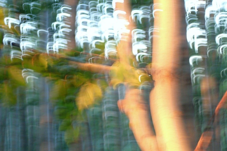 55-P8160262 -- Kompozycja odrealniona