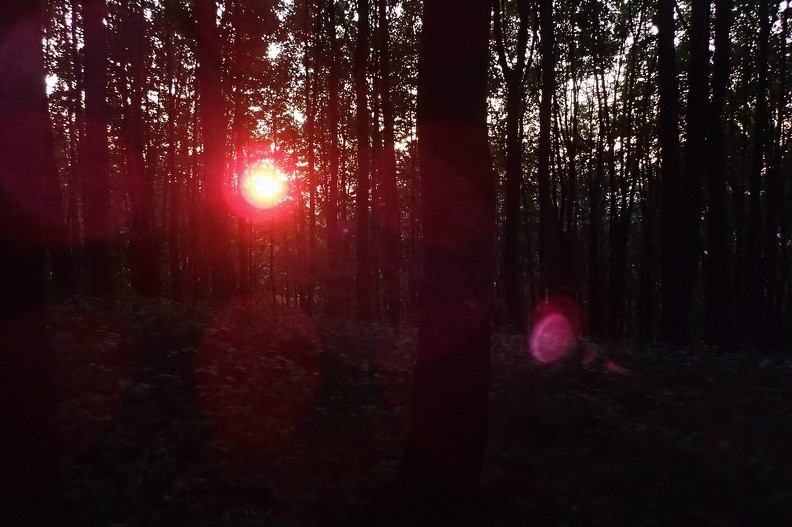 63-P8160288 -- 19:37