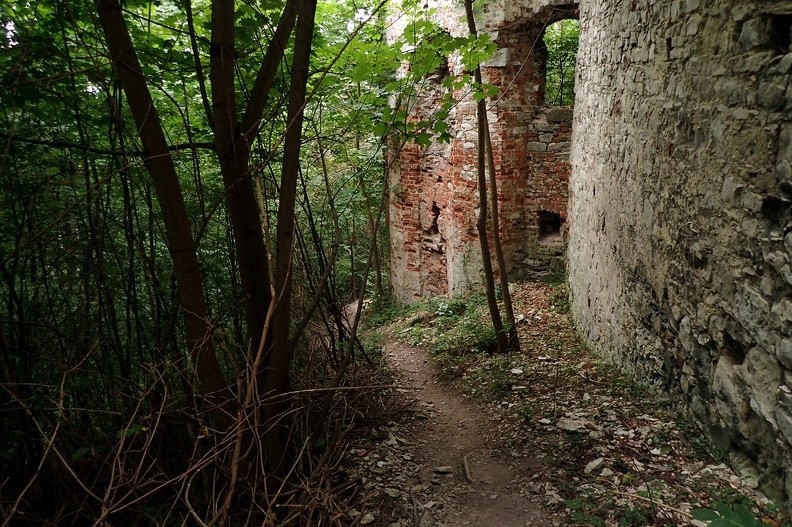 17-P8240047 -- Lubimy tę ścieżkę