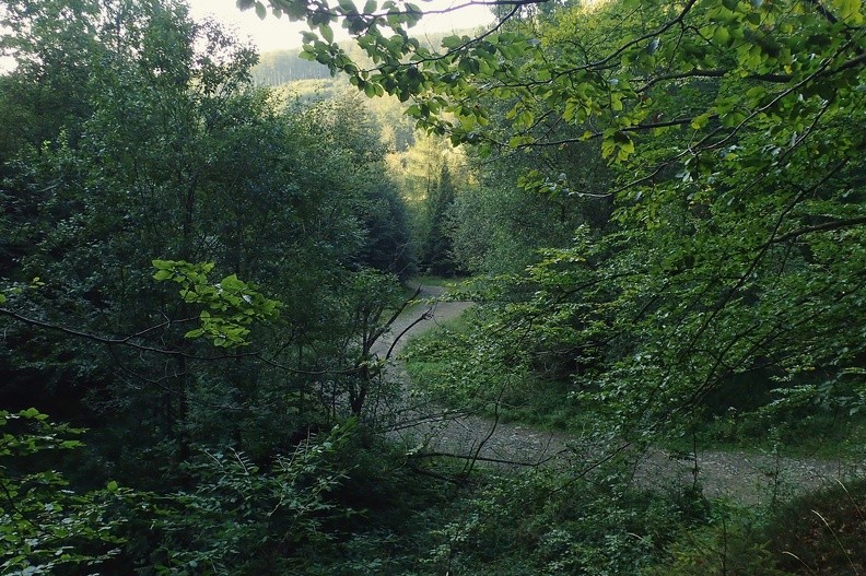 21-P8270167 -- Dolina Jasionki to jedna z piękniejszych i najmniej poznanych dolin świata