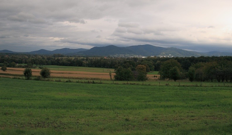 19-IMG 4828 -- Wyszliśmy po przeciwnej, południowo-zachodniej stronie wąwozu, by zajrzeć nad okresowe (dziś wyschnięte) jezioro Księżyc
i skręcić w lewo. Stamtąd dotarliśmy do wschodniego krańca lasu. Oglądamy taki oto widok na Beskid Śląski: z tyłu, po lewej
rysuje się grzbiet biegnący przez Zebrzydkę i Łazka na Czupel, bliżej mamy Żar, Lipowski Groń oraz – najwyższą – Równicę