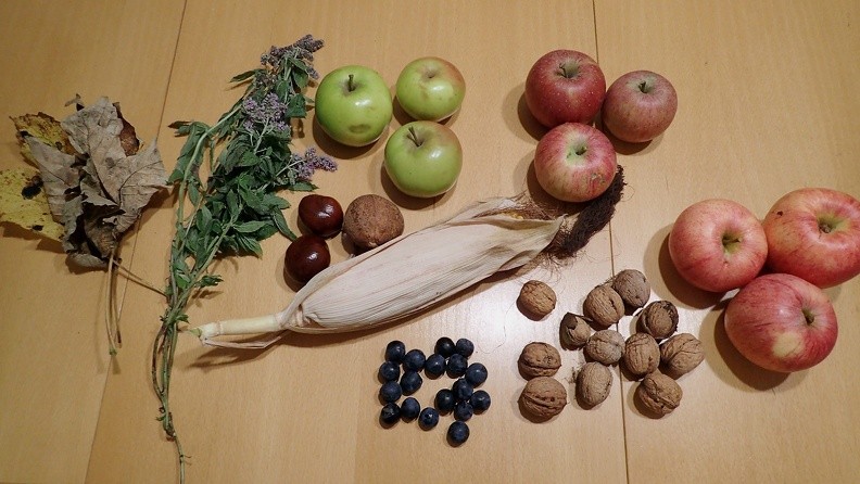 47-P9230042 -- ...oraz orzechy włoskie. Była również dynia, lecz jej nie zdecydowaliśmy się dźwigać! Przemierzyliśmy dziś zróżnicowany,
niebywale satysfakcjonujący pod względem topograficznym obszar. Podczas całego naszego spaceru nie natknęliśmy się
na ani jednego pieszego turystę. Prawdziwa przygoda jest na wyciągnięcie ręki. Dziś w nocy do wiatru dołączy ulewa,
rano temperatura będzie już odczuwalnie niższa