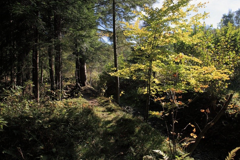 05-IMG 4897 -- Ścieżka wspomnień