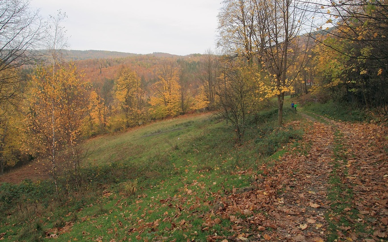 04-IMG 5225 -- Minęliśmy osiedle Do Polaków. Otacza nas wyciszona jesień o przygasłych już barwach