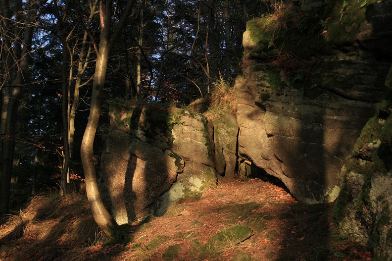 29-IMG 5417 -- 16:32