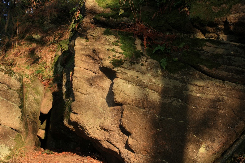 46-IMG 5424 -- Kompozycja bez tytułu