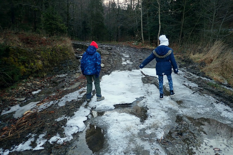 08-PC080103 -- Fragment zimy na bocznej drodze