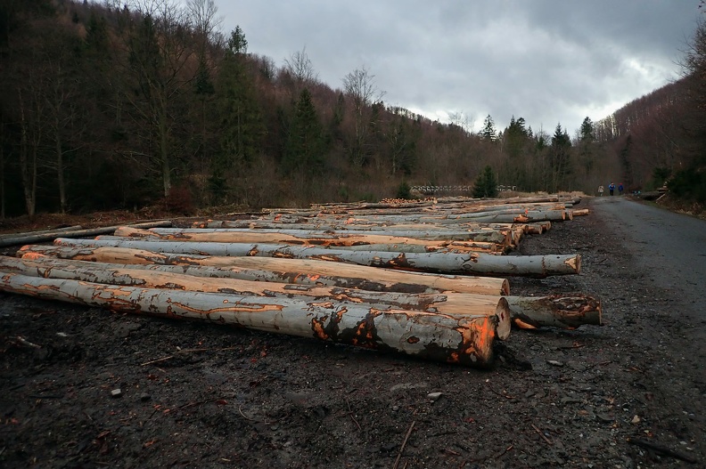 10-PC080123 -- Przyszłe meble, skrzynie, schody, a może zabawki lub instrumenty muzyczne?