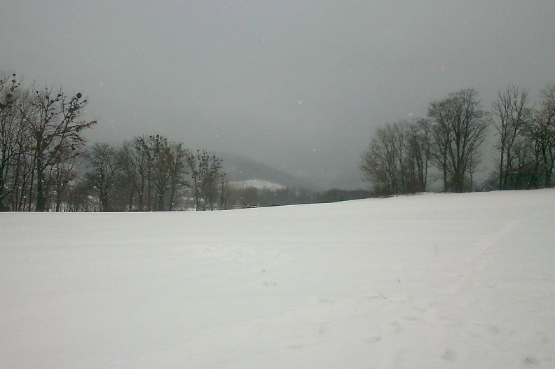 01-DSC 0259-190106 -- Niedziela, 6 stycznia 2019. Zima na Pogórzu Śląskim.
(W poprzedniej części cyklu: <a href="http://www.dziennikgorski.type.pl/zdjecia/picture.php?/2809/category/134" target="_blank">LINK</a>)
[Fot. z telefonu]