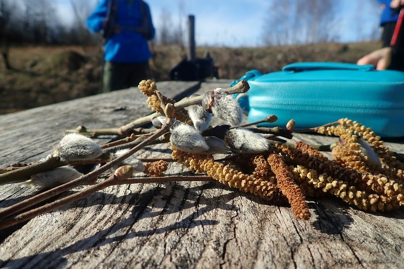 058-P3170166 -- Takimi gadżetami reklamuje się marzec :-)