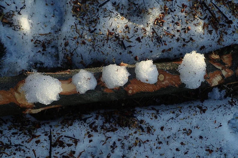 074-P3170188 -- Skład amunicji