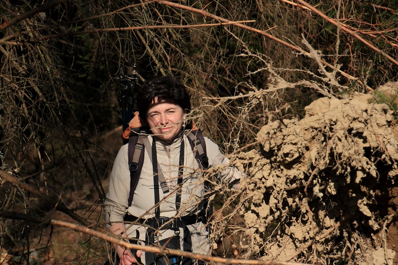 070-IMG 6469 -- Portret z wykrotem / 2