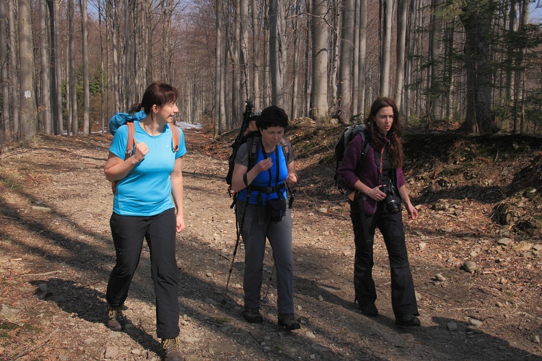 11-IMG 6536 -- Podgrupa kobieca perypatetyczna