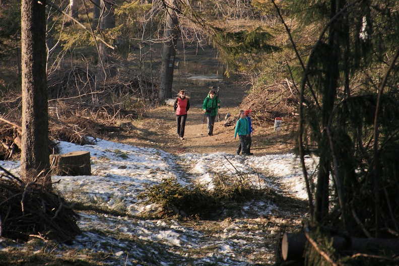 117-IMG 7087 -- Stary śnieg i cetyna