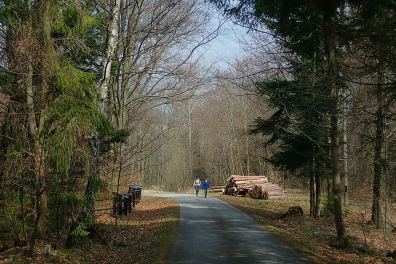 10-P4140614 -- W miejscu, gdzie do Leśnianki wpada Potok Malinowski,
skierowaliśmy się w górę tej pierwszej