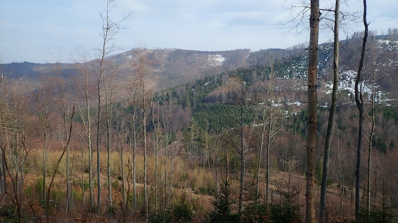 38-P4140709 -- Rzut oka w stronę Magurki Radziechowskiej