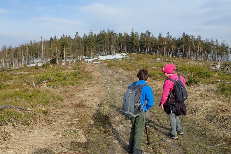 45-P4140727 -- Przełęcz pod Malinowską Skałą