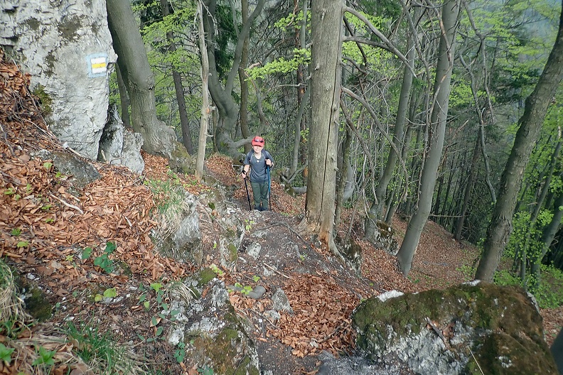 058-P4260476 -- W urwiskach Havrana