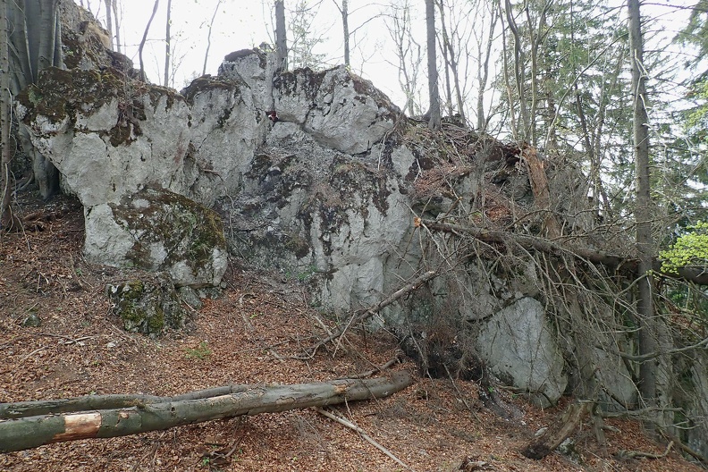 060-P4260479 -- Z cyklu: Wytęż wzrok i znajdź Mikołaja (<a href="http://www.dziennikgorski.type.pl/zdjecia/picture.php?/5649/category/191" target="_blank">LINK</a>)