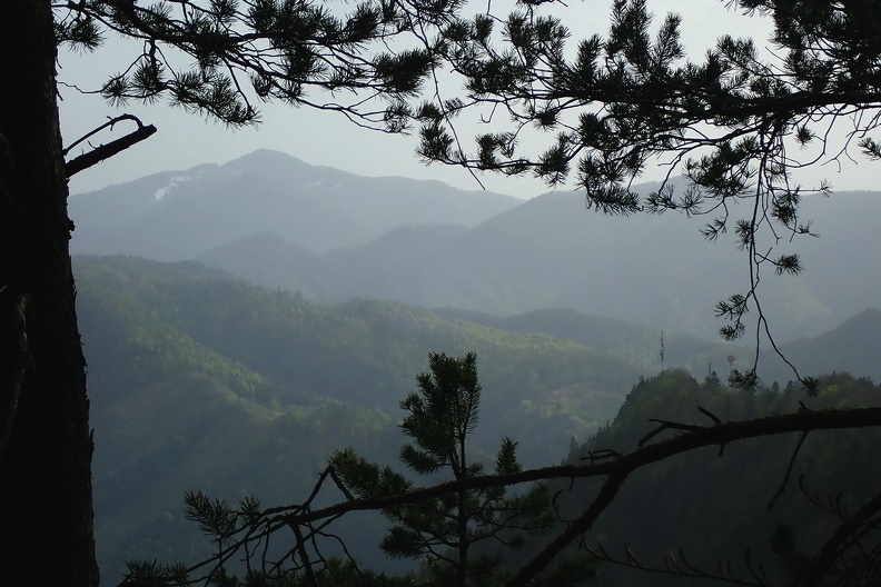 080-P4260533 -- Jarabiná i (przesłonięty gałęzią) Kľak