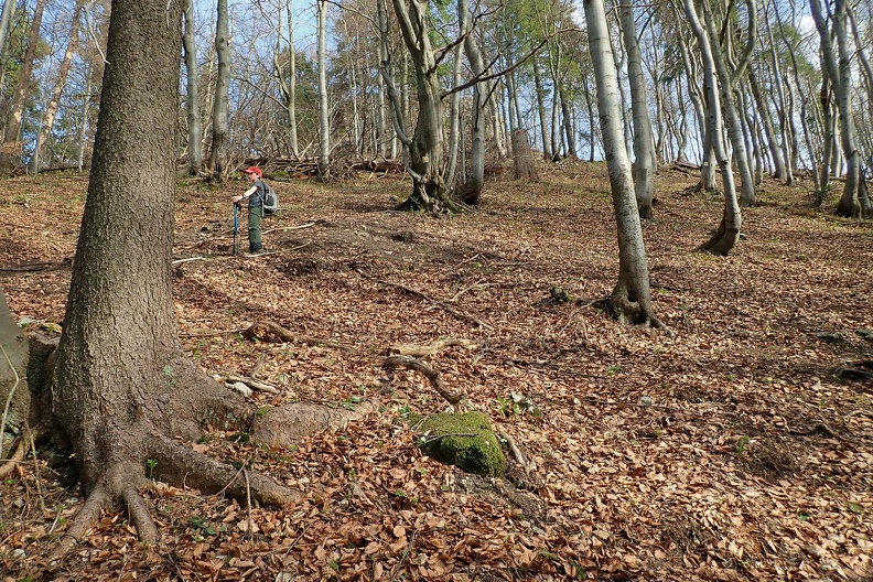 097-P4260574 -- Na szczęście co jakiś czas przystaje, by rodzice mogli nadążyć