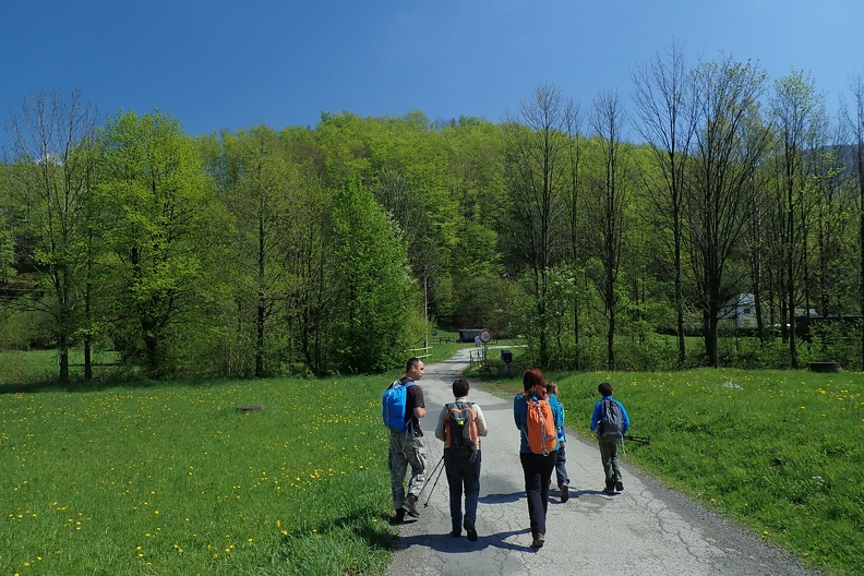 002-P5010765 -- Daliśmy się poprowadzić szosie na północ, po czym skręcamy w prawo, z zamiarem
przejścia na wschodni brzeg potoku Ropiczanka (Ropičanka)