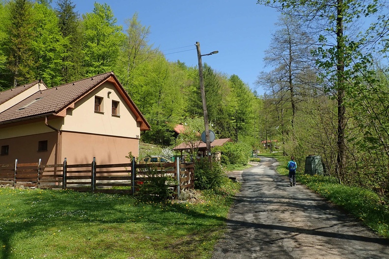 007-P5010774 -- ...w dolinkę Lavičského potoka