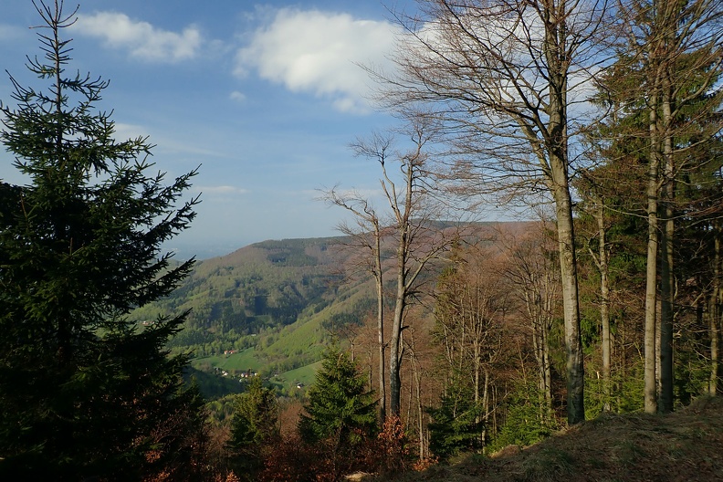 052-P5010861 -- Zeszliśmy kawałek szlakiem na północny zachód,
a potem kawałeczek wprost przez las na północ