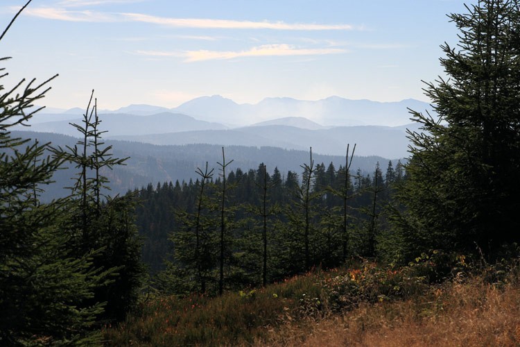 05-IMG 5560 -- Mała Fatra