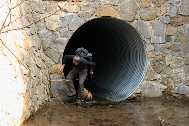 02-IMG 7768 -- Frytka wychodzi z trawersu rury