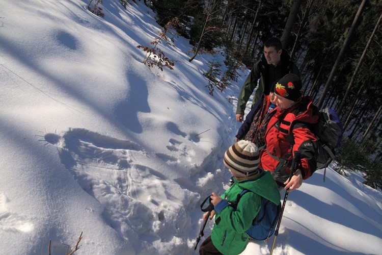 03-IMG 8040 -- Tajemnicza śnieżna postać