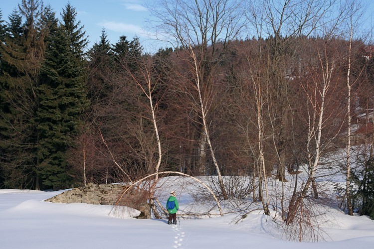 07-IMG 8107 -- Ruiny chatki Wysoki Zamek na Wielkim Cisowym