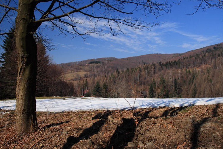 02-IMG 8346 -- Kompozycja wczesnowiosenna