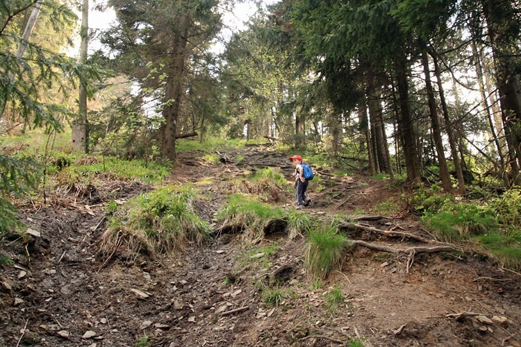 09-IMG 3433 -- Prawie jak Lackowa