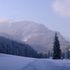 Czarna