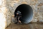 02-IMG 7768