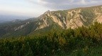 06-P1230590