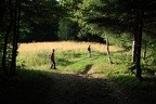 10-IMG 3484