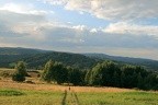 11-IMG 3486