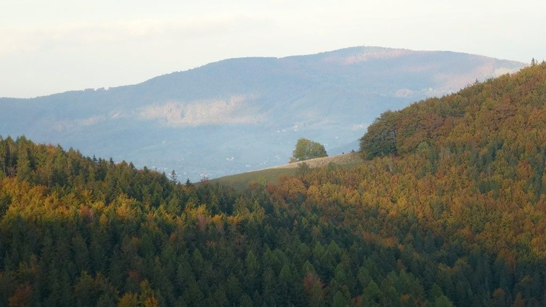 22-P1230892 -- Zbliżenie: Przełęcz pod Wielką Kikulą, w tle Wielka Czantoria