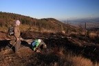 07-IMG 4325