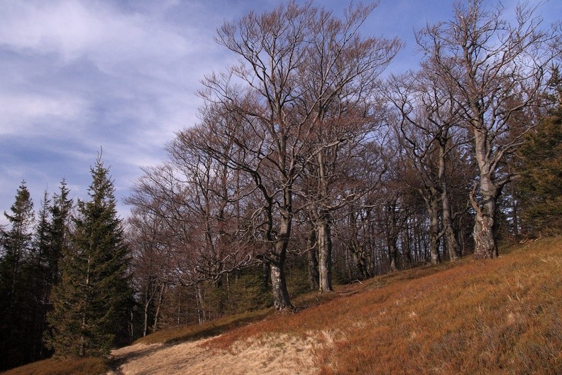 13-IMG 2665 -- ...