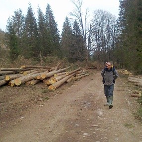 Trawers Czarnej