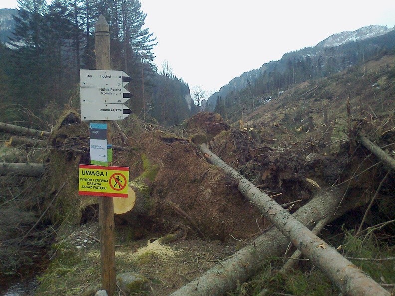 05-z0661 -- Tatry po "kalamicie" / 3
[Fot. z telefonu]