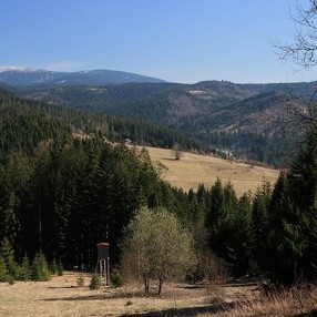 2014
