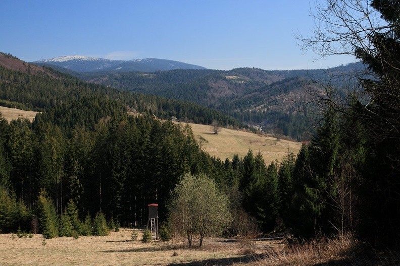 01-IMG 2871 -- Pejzaż z amboną – widok ze zboczy Bucioryski w kierunku wschodnim
