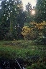 03-0409  17