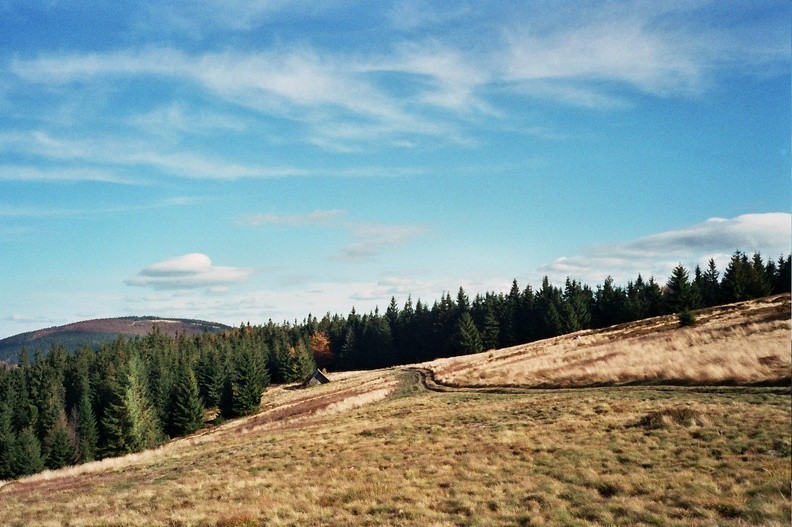 16-0499   1