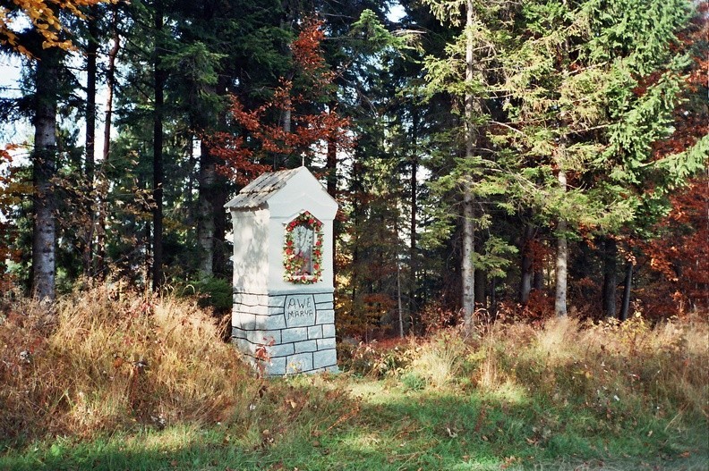 30-0469  31 -- Kapliczka nieopodal Szczurówki